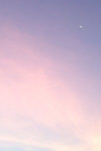 决战时刻：荣耀与梦想的终极碰撞