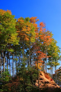 掘金主场狂胜马刺，闪耀丹佛，捍卫荣耀！