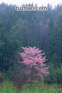 埃瓦尔主场大胜巴伦西亚，实现关键突破