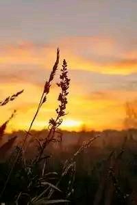 绿茵传奇续写！北京中赫国安：连胜不止，不败金身耀东方！