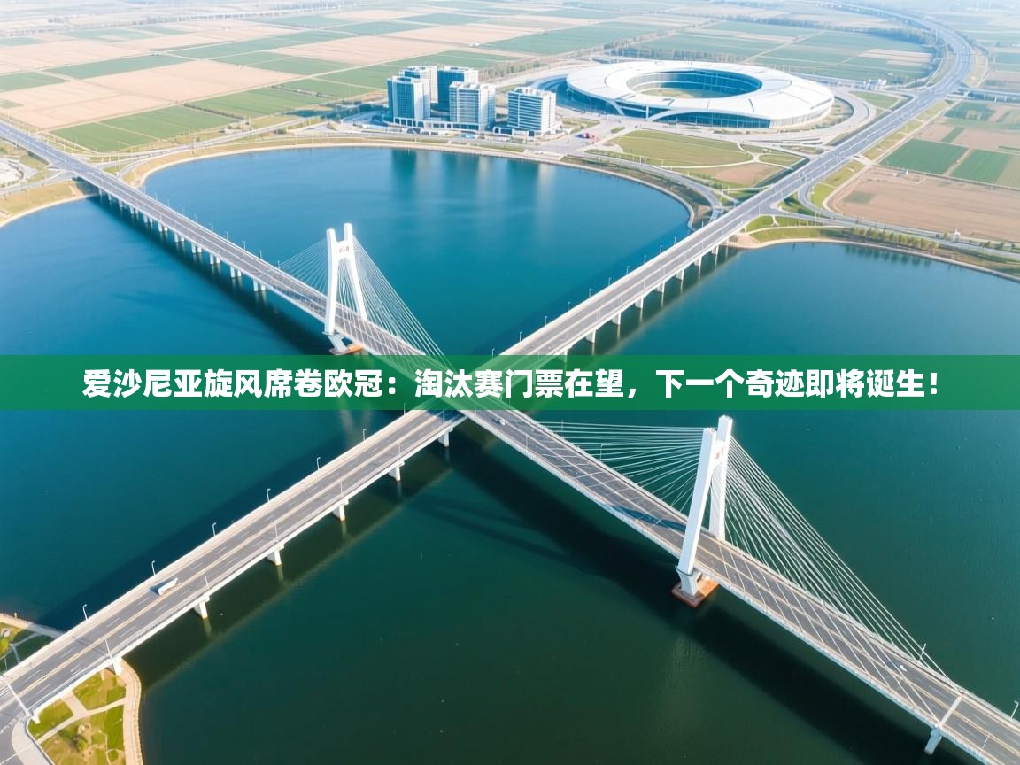 爱沙尼亚旋风席卷欧冠：淘汰赛门票在望，下一个奇迹即将诞生！